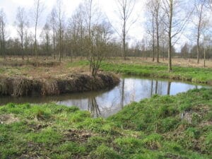 Turbidity in Rivers: what is it and how does it impact rivers? | Essex Rivers Hub